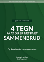 E-bog om stress